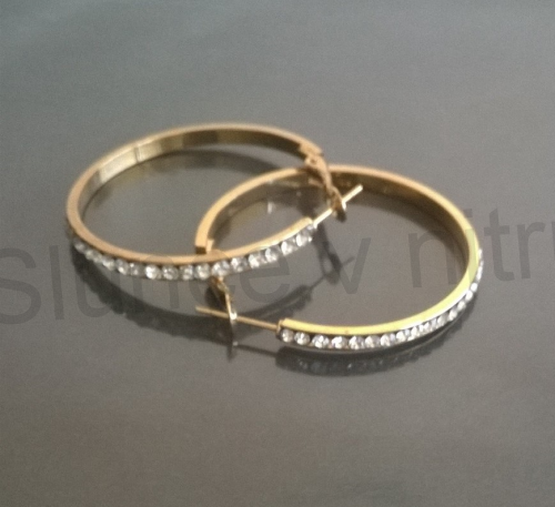 Náušnice Kruhy se zirkony z chirurgické oceli (BB165)