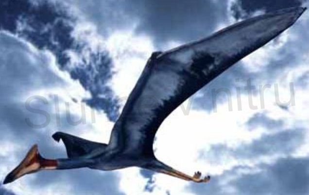 Jurský park Pteranodon 16 cm (D100)