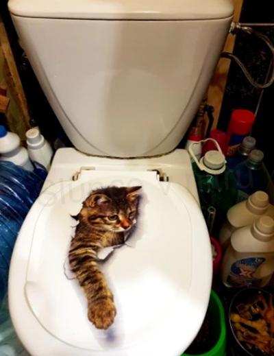 3D Samolepící dekorace roztomilé kotě (E191)