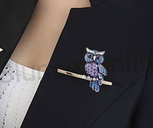 Brož s křišťálovými kamínky Sova (HB91)