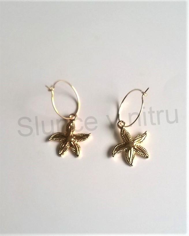 Kruhové náušnice mořské plody z chirurgické oceli (BB491)