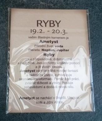 Minerální přívěsek Ametyst - znamení RYBY (X527)