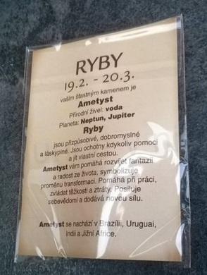 Minerální přívěsek Ametyst znamení - RYBY (X531)