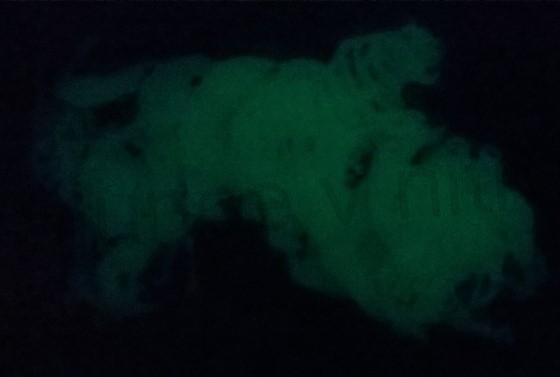 Samolepka zviřata sviticí ve tmě 12 ks (E396)