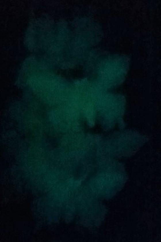 Samolepka motýl sviticí ve tmě 6 ks (E399)