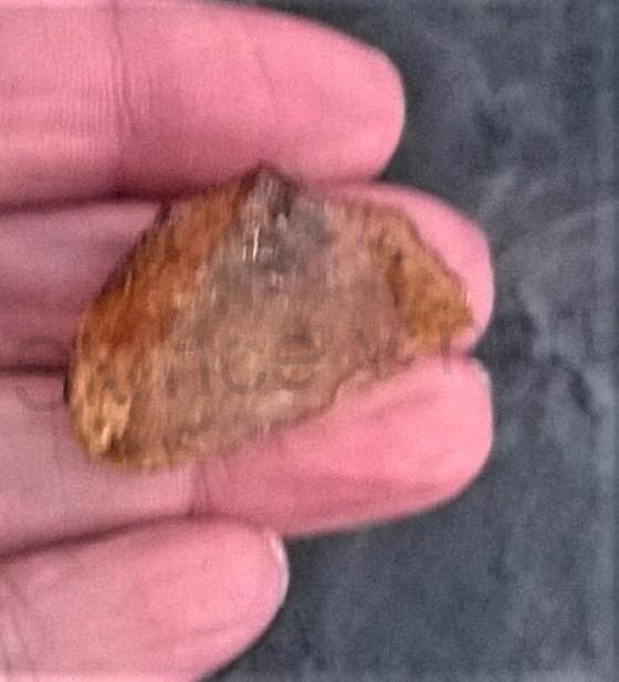 Jantar kopál surový přírodní 3,4 g (X638)