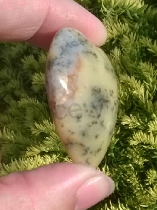 Hladký dendritický Opal srdce 26,8 g (Kazachstán) (X988)