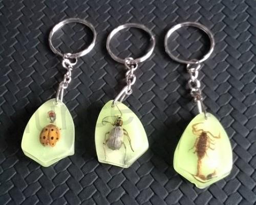 Klíčenka s hmyzem zalitá v pryskyřici sviticí (PP170)