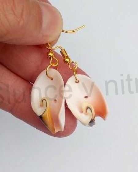 Visací náušnice mořské plody pravá mušle více balení (X1756)