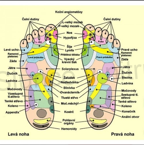 Detoxikační náplasti na nohy 10 ks (F4)