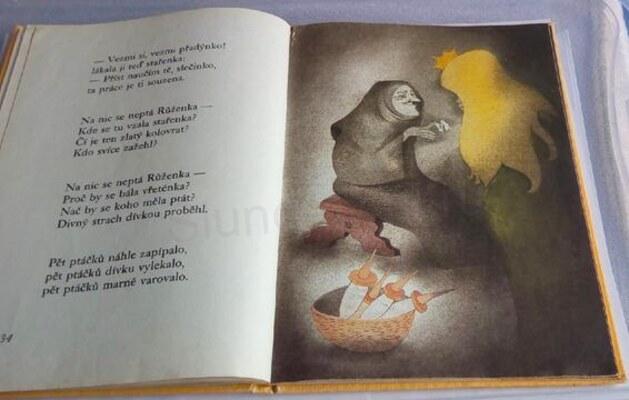 Šípková Růženka (EK21)