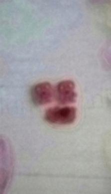 Jemný dětský prstýnek My Little Pony (BP498)