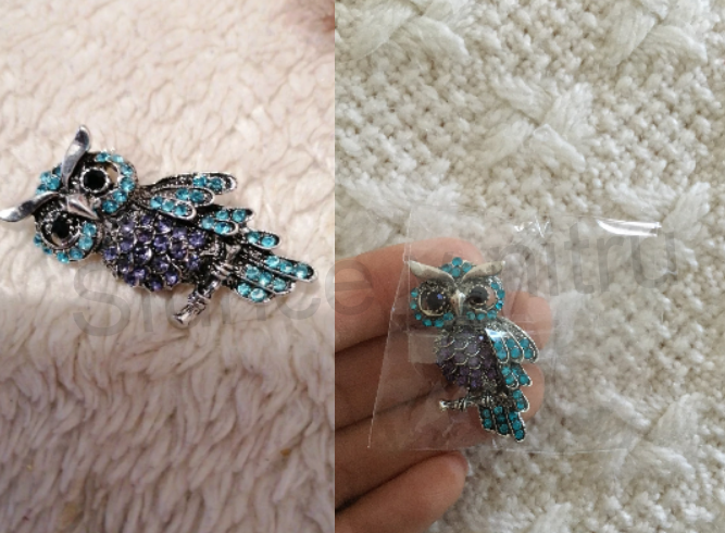 Brož s křišťálovými kamínky Sova (HB91)