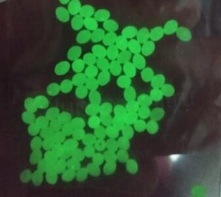 Fluo korálky oválné 10 kusů (R4)