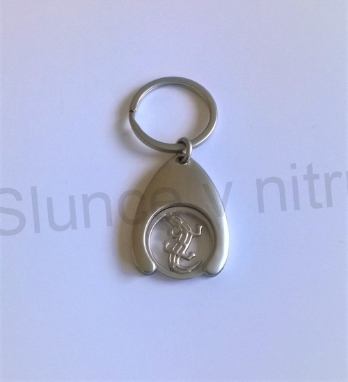 Přívěsek na klíče - mince ještěrka  (D365)