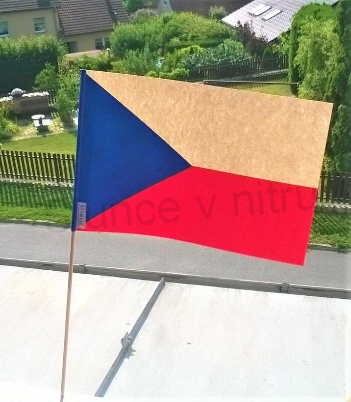 Papírová velká vlajka na dřívku 21 x 50 cm (E315)