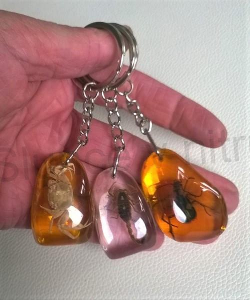 Klíčenka s hmyzem zalitá v pryskyřici (PP96)