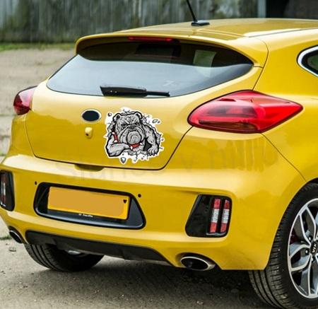 Samolepky na auto buldog 15 x 14 cm (E480)