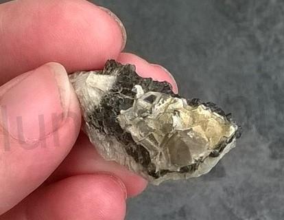 Morion drúza 14,7 g (Česká Republika) (X971)