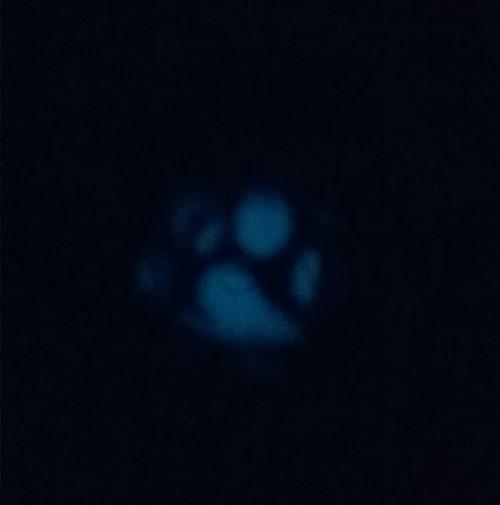 Náhrdelník s přívěškem tlapky - sviticí kulička (BD685)