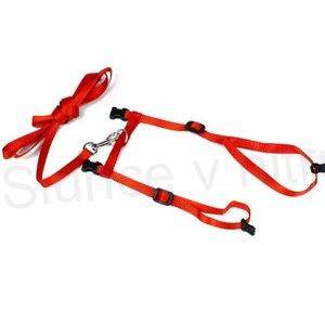 Postroj pro kočky + vodítko, červený, černý (T5)