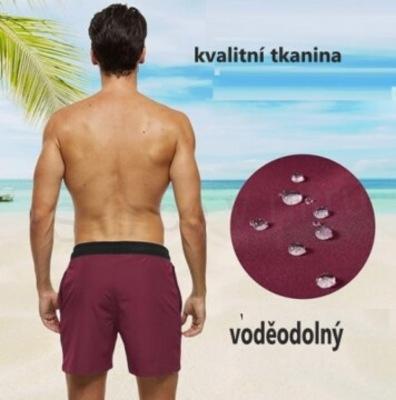 Pánské plavky Arcweg – 2v1 s kompresní podšívkou, bordo (M / EU 38–40) (K413)