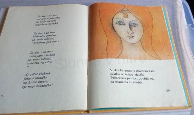 Šípková Růženka (EK21)
