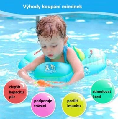 Dětský, kojenecký kruh na plavání s pásem a pumpičkou vel.L (D933) 