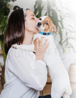 Obojek pro štěňata, malá zvířata velikost S červený (T36)