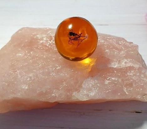 Jantarová kulička s hmyzem (X1968)