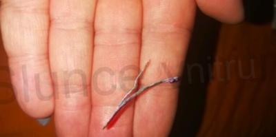 Sponky, sponka do vlasů s potiskem 5 párů číslo 5 (H17)