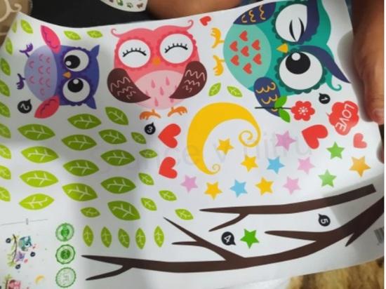 Samolepka na zeď 3D Sovičky, sova (E193)