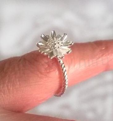 Nastavitelný postříbřený prsten Sedmikráska (BE157)