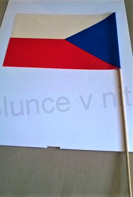 Papírová velká vlajka na dřívku 21 x 50 cm (E315)