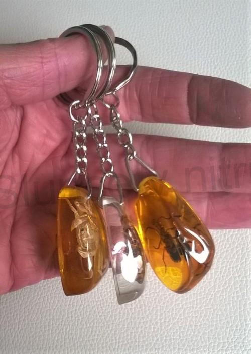 Klíčenka s hmyzem zalitá v pryskyřici (PP96)