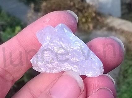 Růženín surový 12,9 g (Česká Republika) (X1268)