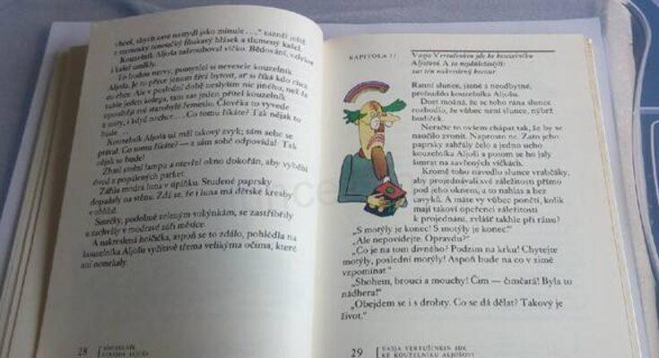 Kouzelníkův učeň aneb Mnoho myší v jednom městě (EK18)