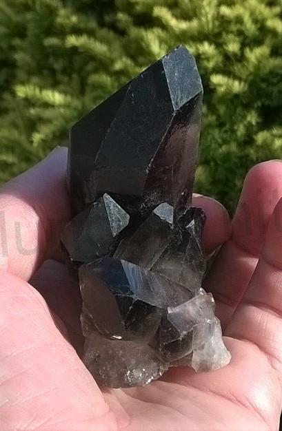 Záhněda, morion - srostlice 190g (Brazílie) (X994)