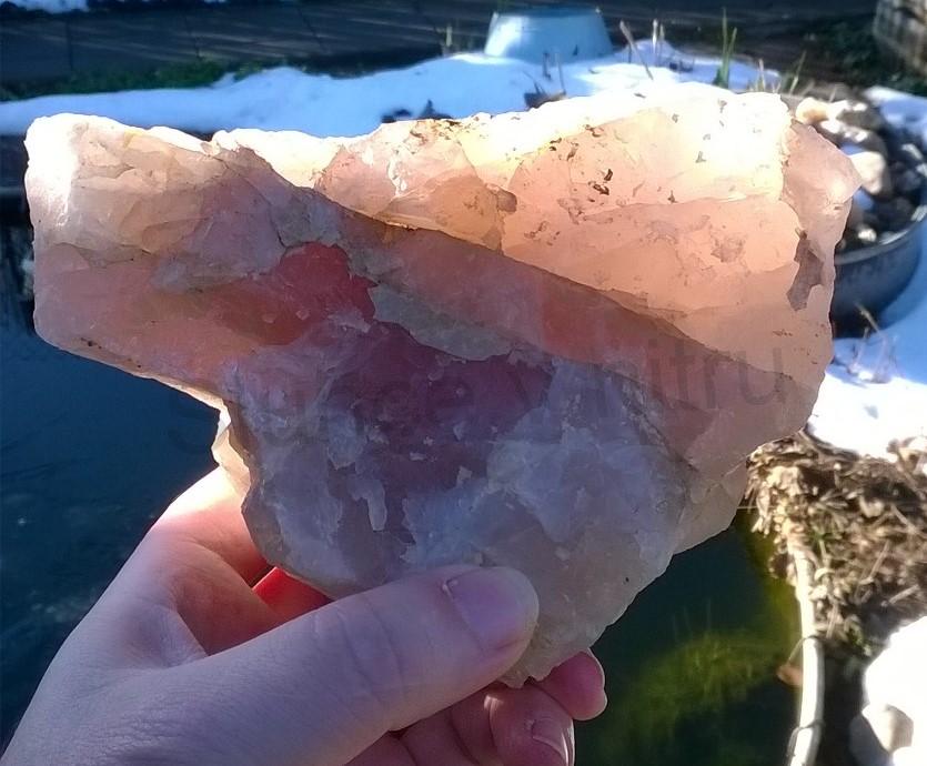 Velký Růženín surový 1335 g (Česká Republika) (X1443)