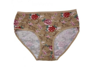 Dámské béžové bambusové kalhotky velikost XL/2XL (K203)