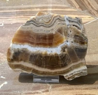 Aragonit řez 497 g (Slovenská Republika) (X1588)