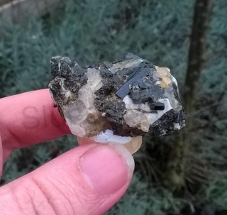 Turmalín v křemenu 29g (Česká Republika) (X1673)