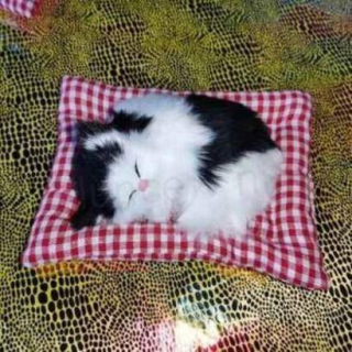 Plyšová hračka kočka černo bílá (D718)