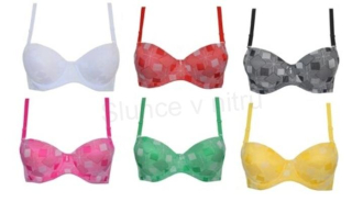 Dámská Push-up lehká podprsenka s kosticemi (K347)