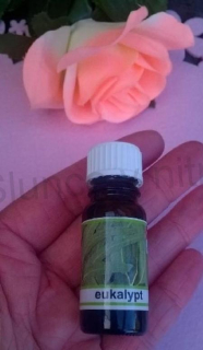 Vonný olej, esence Eukalypt 10 ml (CH20)