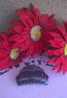 Střední skřipec do vlasů ozdobný 7 x 4,3 cm (H521)