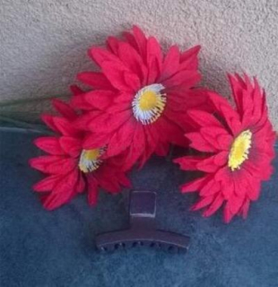 Střední skřipec do vlasů 7 x 3,9 cm čokoládový (H524)