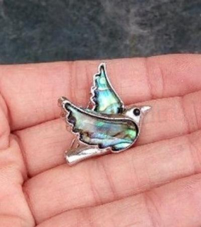 Brož ptáček, holubice mušle Paua (X1736)