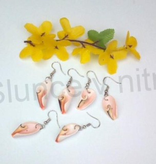 Visací náušnice mořské plody pravá mušle více balení (X1755)