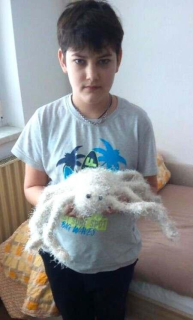 Vlněná hračka Pavouk 43 cm (D913)